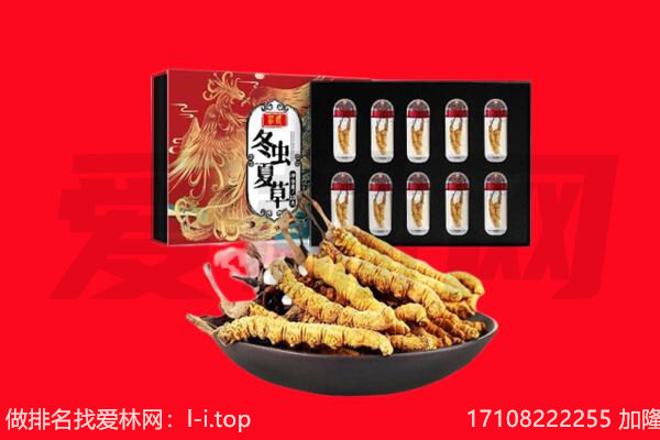 晴隆县回收虫草.jpg